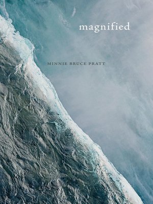 cover image of Magnified